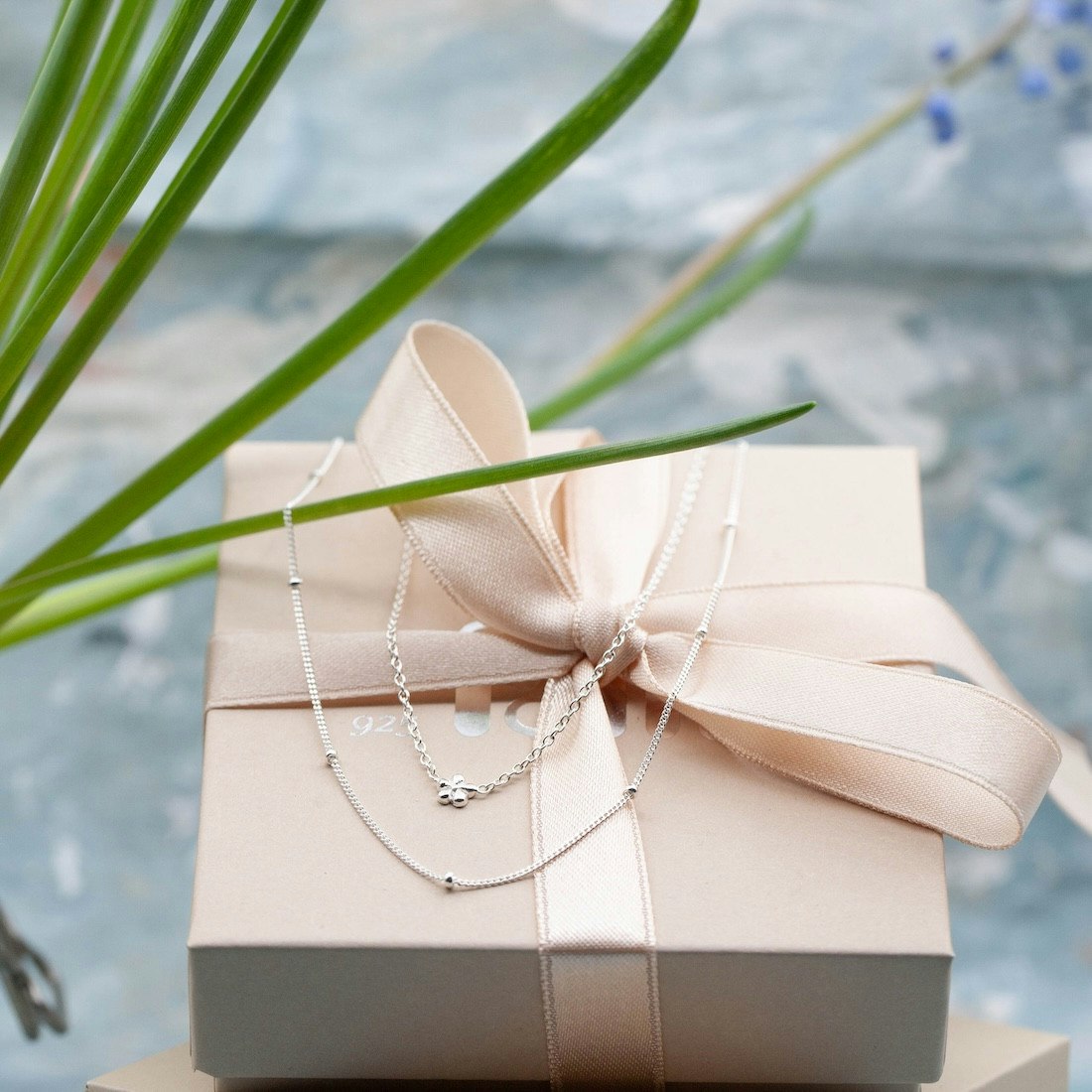 SILVERHALSBAND MINIBLOMMA