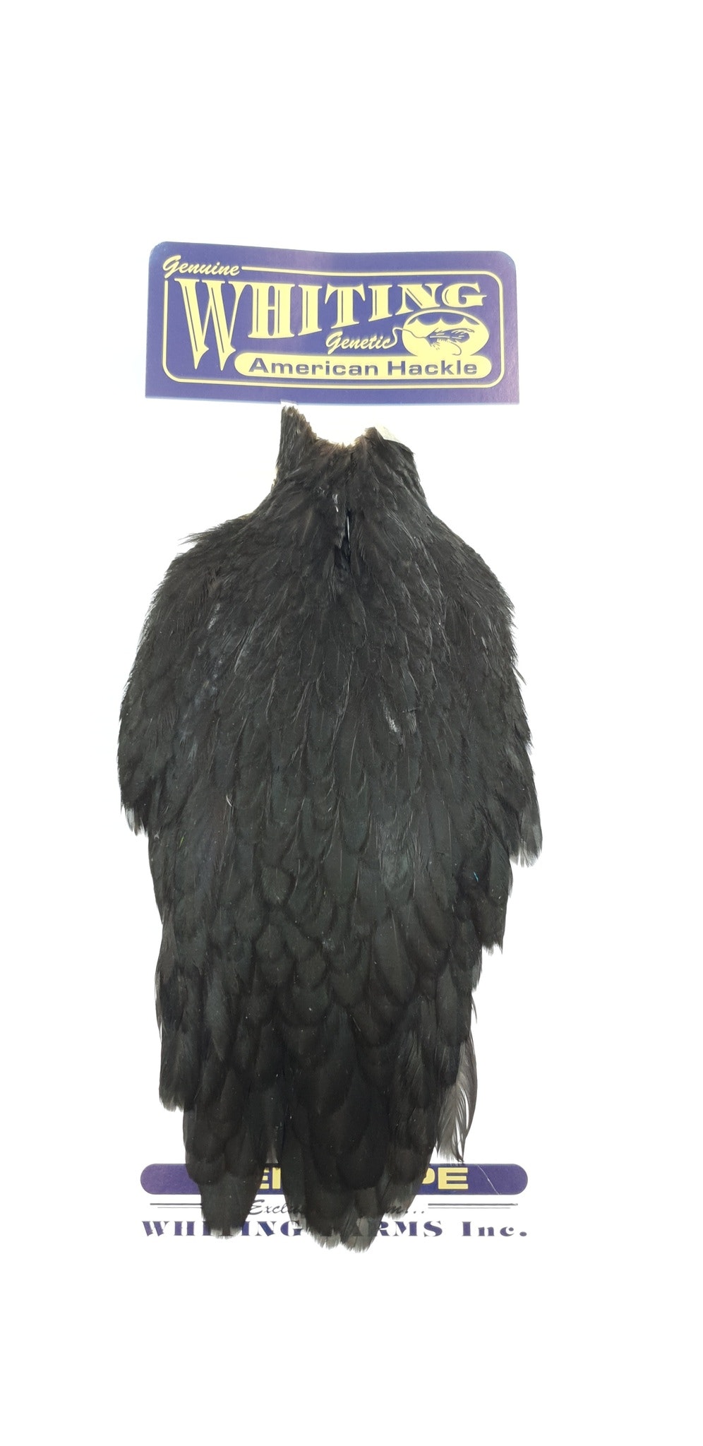 Whiting American Hen Capes