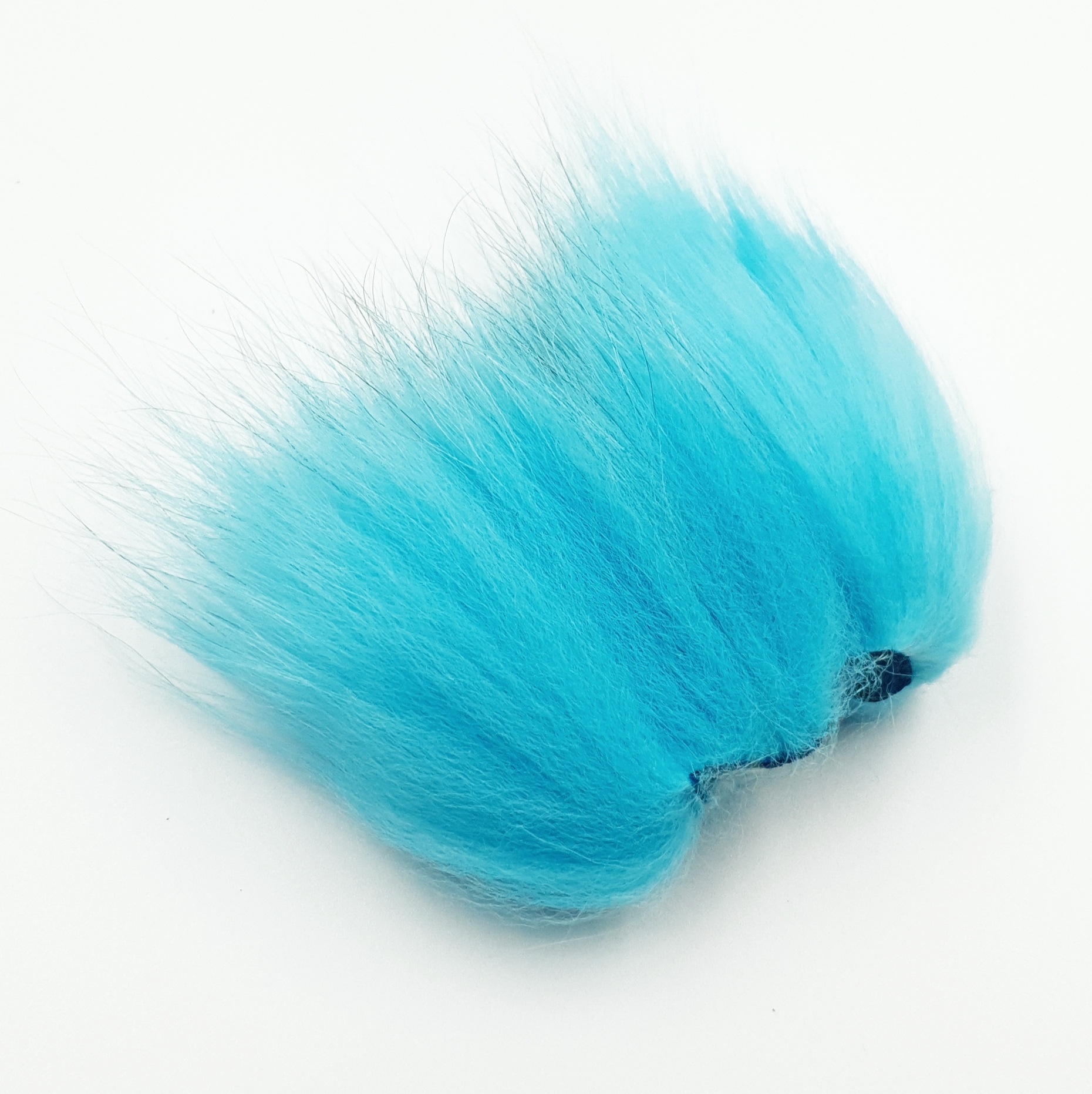 Fox, Turquoise blue