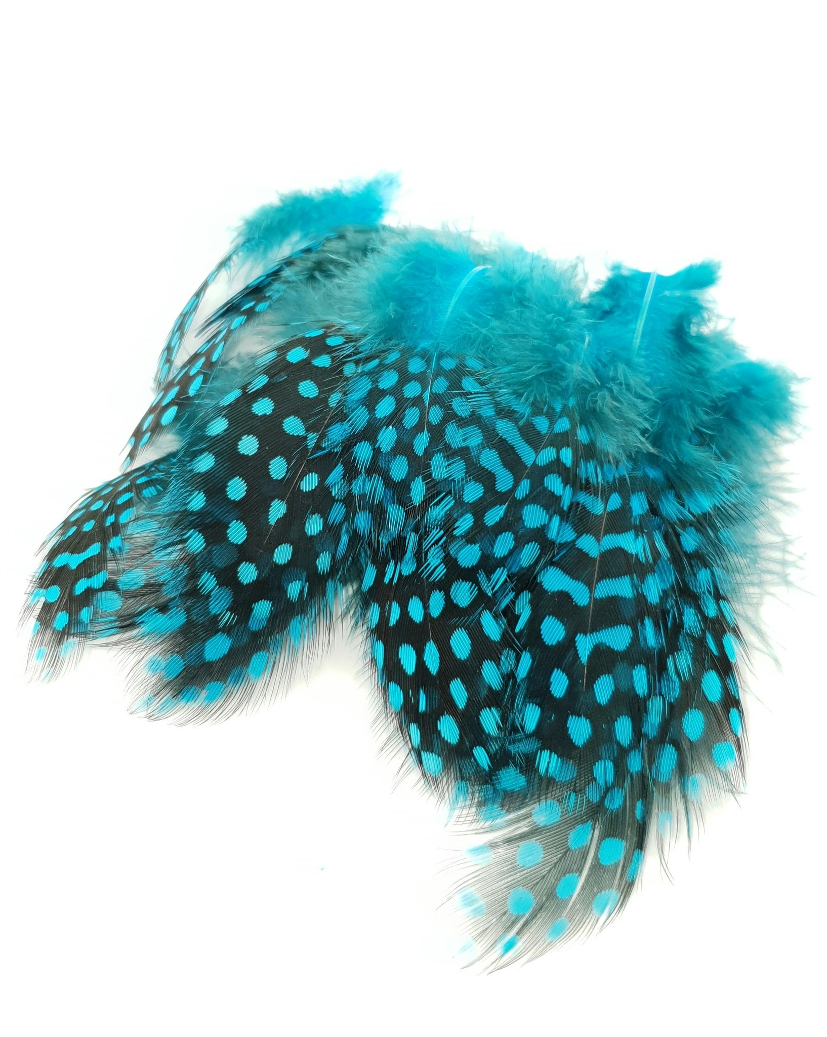 Guinea fowl feathers