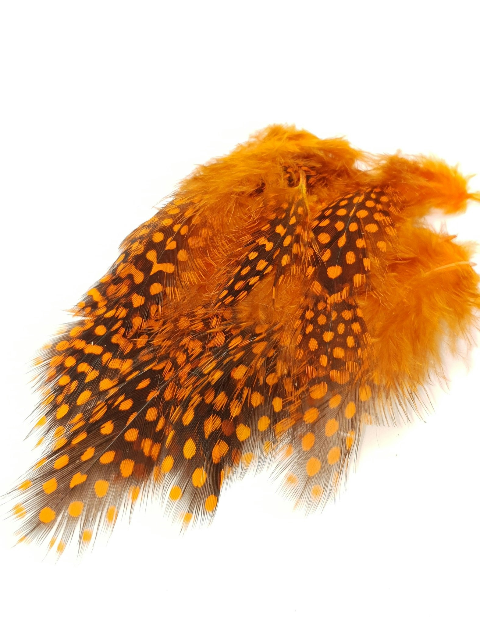 Guinea fowl feathers