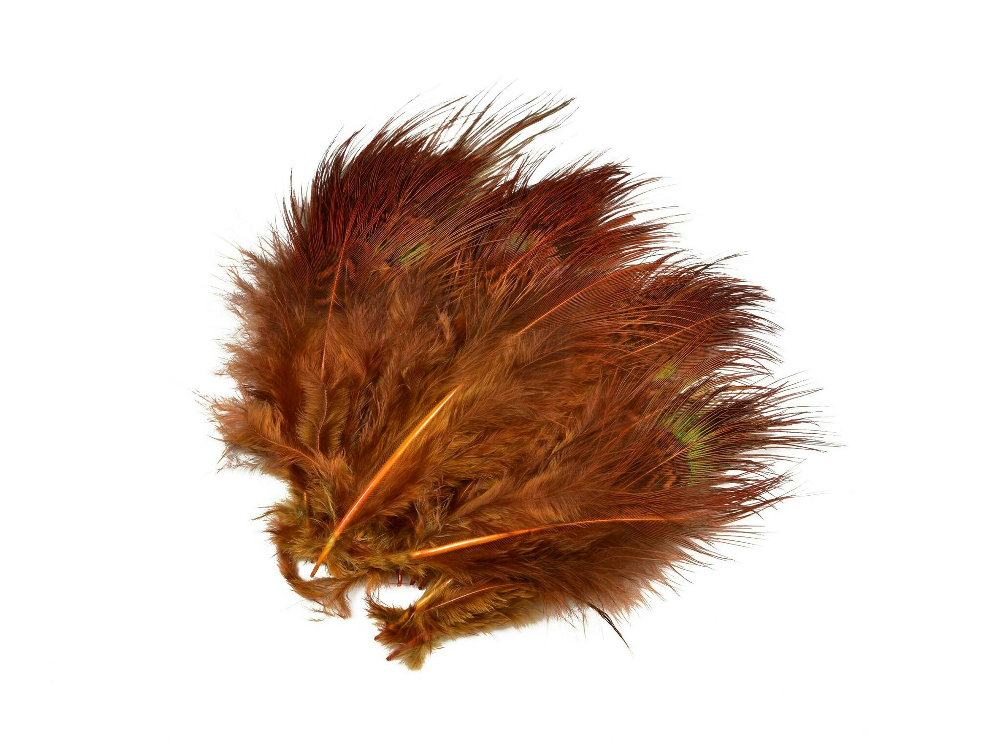 SNS Pheasant Rump Feathers