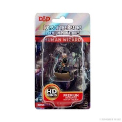 D&D Human Wizard HD