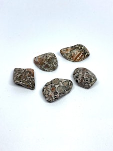 Leopardjaspis - 1 Trumlad sten - 7-8 gram - Vi väljer sten