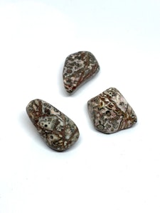 Leopardjaspis - 1 Trumlad sten - 11-12 gram - Vi väljer sten