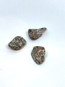 Leopardjaspis - 1 Trumlad sten - 9-10 gram - Vi väljer sten