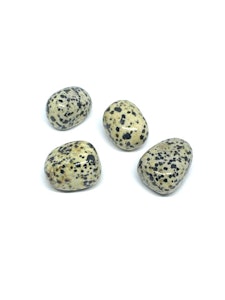 Dalmatinerjaspis - 1 Trumlad sten - 16-20 gram - Vi väljer sten