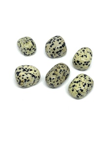 Dalmatinerjaspis - 1 Trumlad sten - 11-15 gram - Vi väljer sten