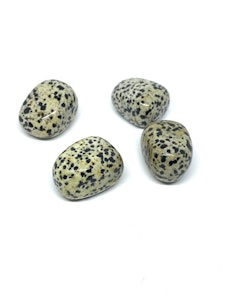 Dalmatinerjaspis - 1 Trumlad sten - 21-25 gram - Vi väljer sten