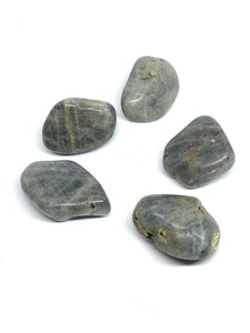 Labradorit - 1 Trumlad sten - 20-23 gram - Kvalitet B