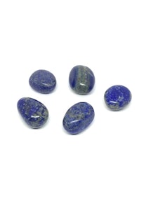 Lapis Lazuli - Trumlad - 1 sten - 10-11 gram - Kvalitet B - Vi väljer sten