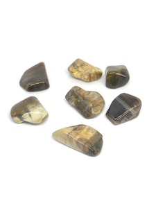 Förstenat Trä - 1 Trumlad sten - 11-12 gram - Vi väljer sten
