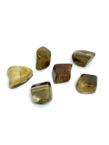 Förstenat Trä - 1 Trumlad sten - 8-10 gram - Vi väljer sten