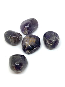 Ametist - 1 Trumlad sten - 21-24 gram - Kvalitet AB - Vi väljer sten