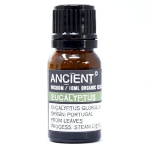 Organisk Eterisk Olja - Eukalyptus - 10 ml