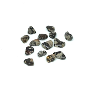 Zebrajaspis - 1 Trumlad sten - 3-4 gram - Vi väljer sten