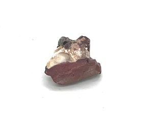 Mokait - 1 Rå sten - 44 gram