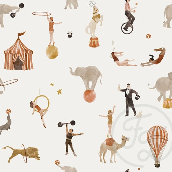 Circus jersey