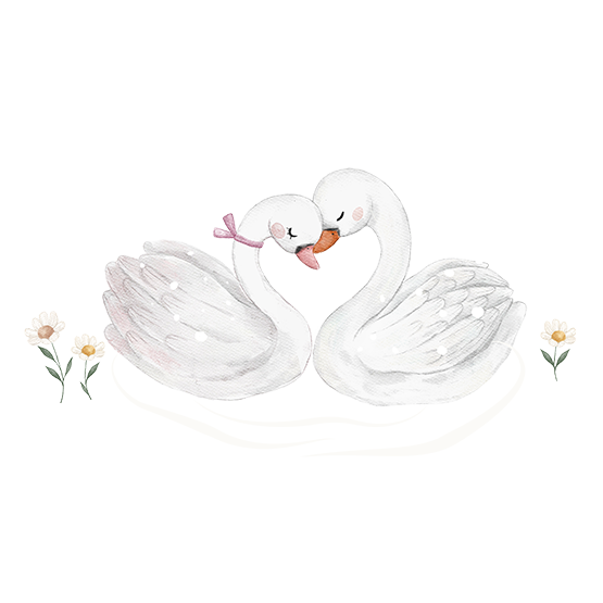 Swan