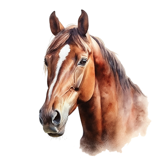 Hest brun