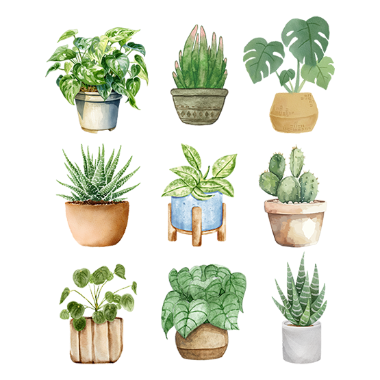 Grønne planter 3*3
