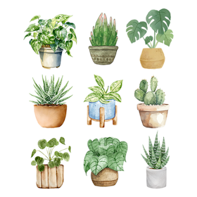 Grønne planter 3*3