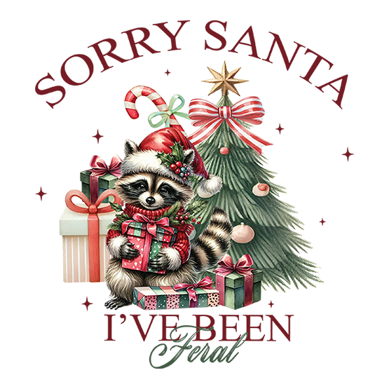 Sorry Santa