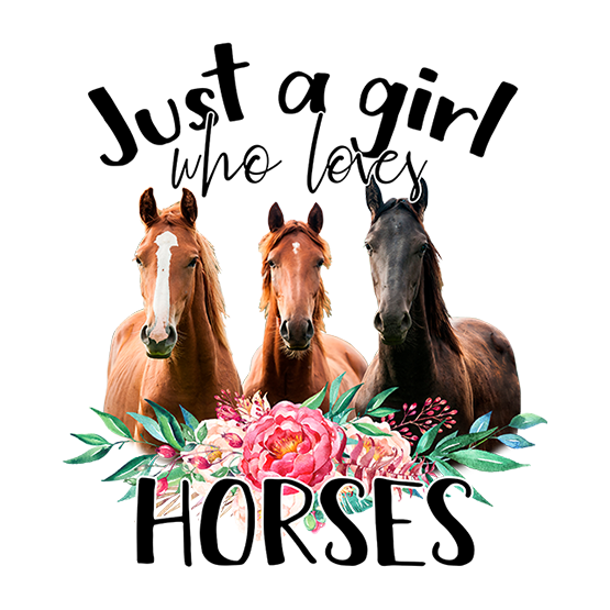 Just a girl who loves horses 2