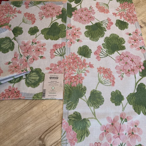 Presentpaket Pelargonia