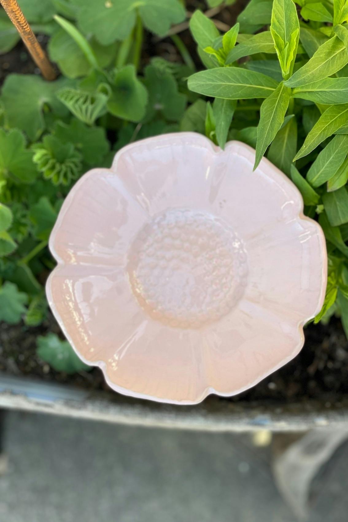 Anemone på pinne