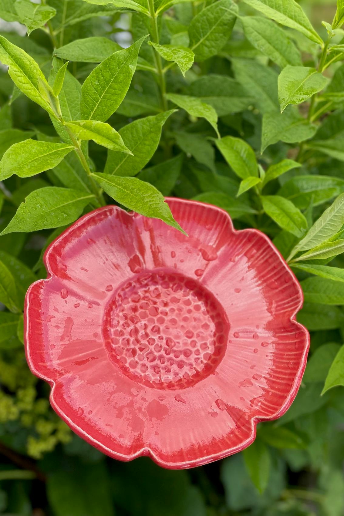 Anemone på pinne