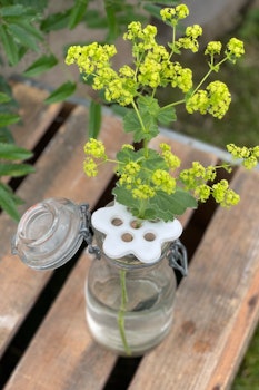 Hållare till blommor