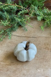 Pumpa - ljusa nyanser