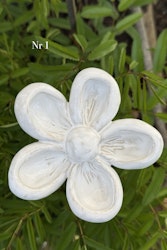 Rundad blomma