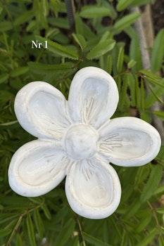 Rundad blomma