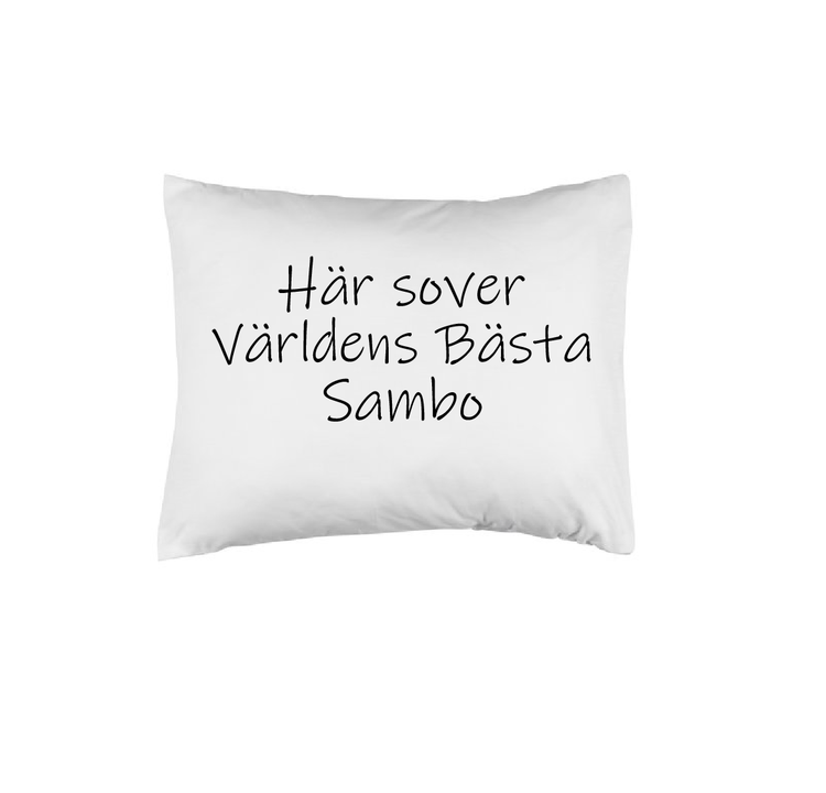 Här sover världens bästa sambo