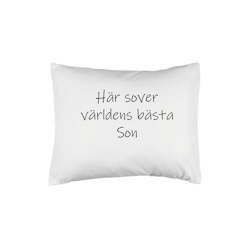 Här sover världens bästa son