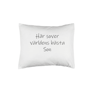 Här sover världens bästa son