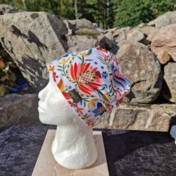 Mössa folklore