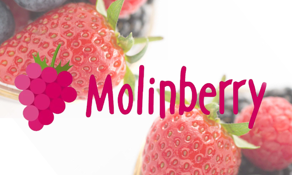 Molinberry - E-liquids.se