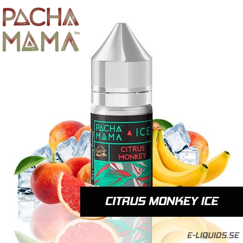 Citrus Monkey Ice - Pacha Mama