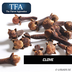 Clove - The Flavor Apprentice