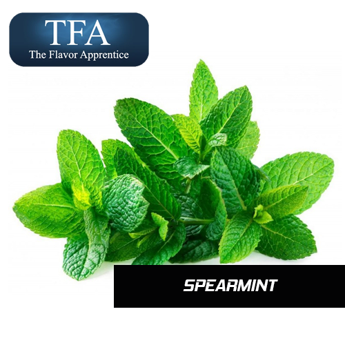 Spearmint - The Flavor Apprentice