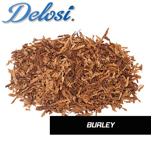 Burley - Delosi