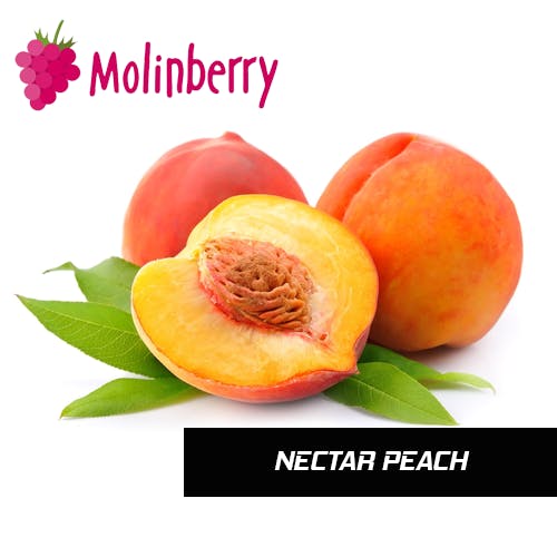 Nectar Peach - Molinberry