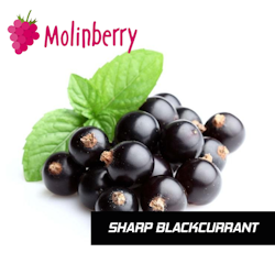 Sharp Blackcurrant - Molinberry