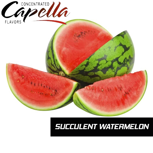 Succulent Watermelon - Capella Flavors
