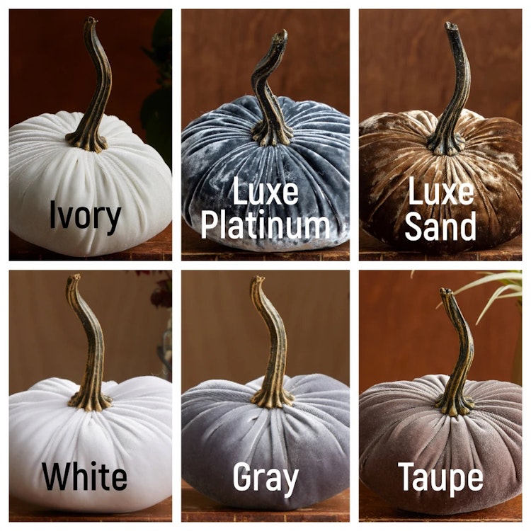 Pumpa i sammet – Liten