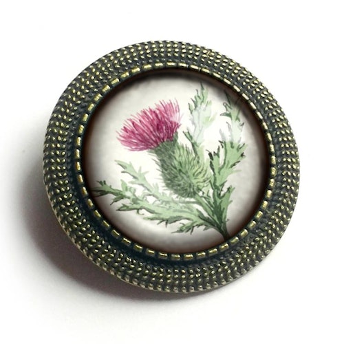 Brosch – Skotsk tistel