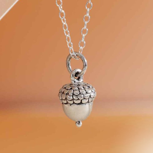 Halsband – Ekollon och kedja i silver